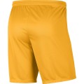 Spodenki Nike Park III BV6855-739