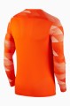 BLUZA BRAMKARSKA NIKE DRY PARK IV LS GK CJ6066-819