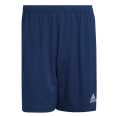 Spodenki adidas Entrada 22