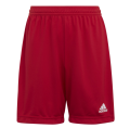 Spodenki adidas Junior Entrada 22