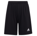 Spodenki adidas Junior Entrada 22