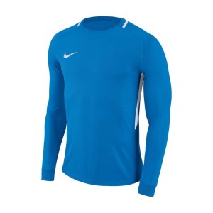 Bluza bramkarska Nike Junior Park Goalie III 894516-406