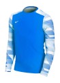 Bluza bramkarska Nike Junior Park IV CJ6072-052