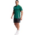 Koszulka męska adidas Tiro 24 Competition Polo zielona