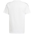 Koszulka dla dzieci adidas Tiro 24 Sweat biała
