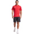 Koszulka męska adidas Tiro 24 Sweat czerwona