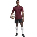 Koszulka męska adidas Tabela 23 Jersey bordowa