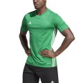 Koszulka męska adidas Tabela 23 Jersey zielona