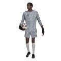 Koszulka bramkarska męska adidas Condivo 22 Goalkeeper Jersey Long Slevee szara