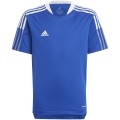 Koszulka dla dzieci adidas Tiro 21 Training Jersey niebieska