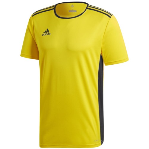 Koszulka dla dzieci adidas Entrada 18 JR żółto-niebieska