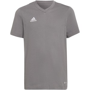 Koszulka dla dzieci adidas Entrada 22 Tee szara