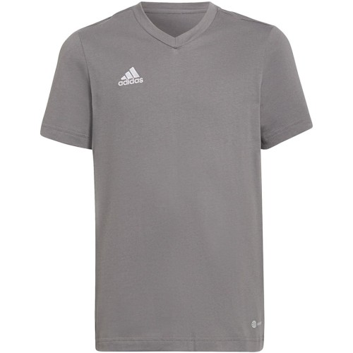 Koszulka dla dzieci adidas Entrada 22 Tee szara