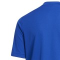 Koszulka dla dzieci adidas Entrada 22 Graphic Jersey niebieska