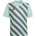 Koszulka dla dzieci adidas Entrada 22 Graphic Jersey miętowo-szara