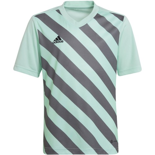 Koszulka dla dzieci adidas Entrada 22 Graphic Jersey miętowo-szara