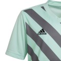 Koszulka dla dzieci adidas Entrada 22 Graphic Jersey miętowo-szara