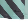 Koszulka dla dzieci adidas Entrada 22 Graphic Jersey miętowo-szara