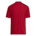 Koszulka dla dzieci adidas Entrada 22 Graphic Jersey czerwona