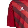 Koszulka dla dzieci adidas Entrada 22 Graphic Jersey czerwona
