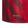 Koszulka dla dzieci adidas Entrada 22 Graphic Jersey czerwona