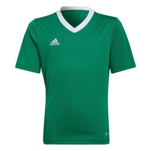 Koszulka dla dzieci adidas Entrada 22 Jersey zielona