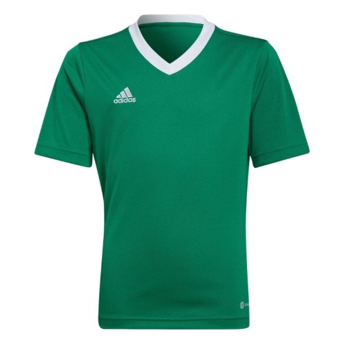 Koszulka dla dzieci adidas Entrada 22 Jersey zielona