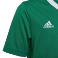 Koszulka dla dzieci adidas Entrada 22 Jersey zielona