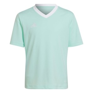 Koszulka dla dzieci adidas Entrada 22 Jersey miętowa