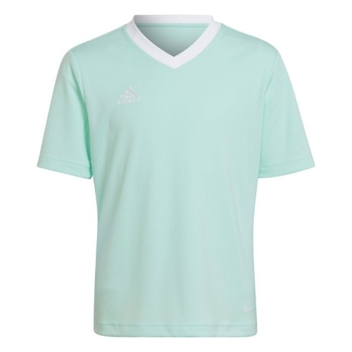 Koszulka dla dzieci adidas Entrada 22 Jersey miętowa