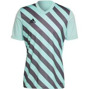 Koszulka męska adidas Entrada 22 Graphic Jersey miętowa