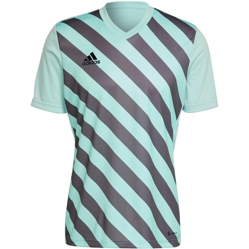Koszulka męska adidas Entrada 22 Graphic Jersey miętowa