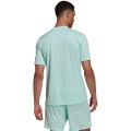 Koszulka męska adidas Entrada 22 Graphic Jersey miętowa