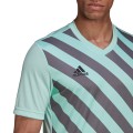 Koszulka męska adidas Entrada 22 Graphic Jersey miętowa