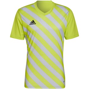 Koszulka męska adidas Entrada 22 Graphic Jersey żółto-szara