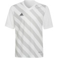 Koszulka dla dzieci adidas Entrada 22 Graphic Jersey biało-szara