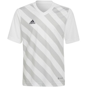 Koszulka dla dzieci adidas Entrada 22 Graphic Jersey biało-szara