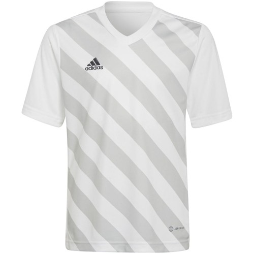 Koszulka dla dzieci adidas Entrada 22 Graphic Jersey biało-szara