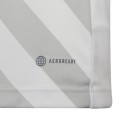 Koszulka dla dzieci adidas Entrada 22 Graphic Jersey biało-szara