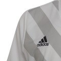 Koszulka dla dzieci adidas Entrada 22 Graphic Jersey biało-szara