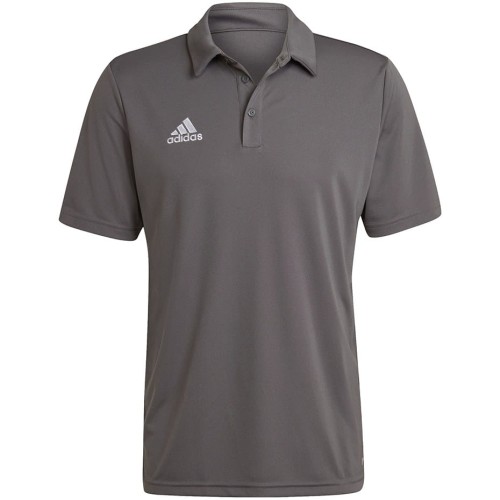 Koszulka męska adidas Entrada 22 Polo szara
