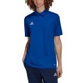 Koszulka męska adidas Entrada 22 Polo niebieska