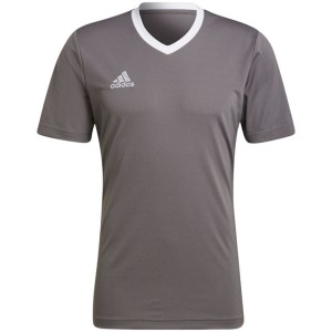 Koszulka męska adidas Entrada 22 Jersey szara