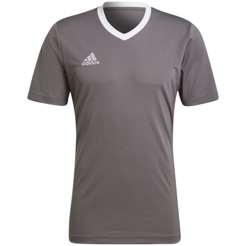 Koszulka męska adidas Entrada 22 Jersey szara