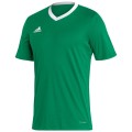 Koszulka męska adidas Entrada 22 Jersey zielona