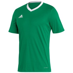 Koszulka męska adidas Entrada 22 Jersey zielona