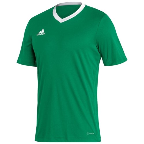 Koszulka męska adidas Entrada 22 Jersey zielona