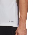 Koszulka męska adidas Entrada 22 Jersey biała