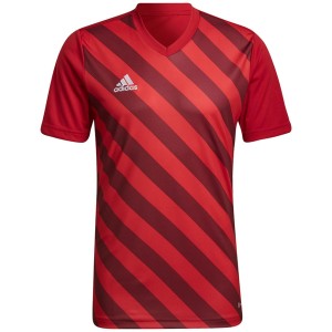 Koszulka męska adidas Entrada 22 Graphic Jersey czerwono-bordowa