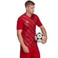 Koszulka męska adidas Entrada 22 Graphic Jersey czerwono-bordowa
